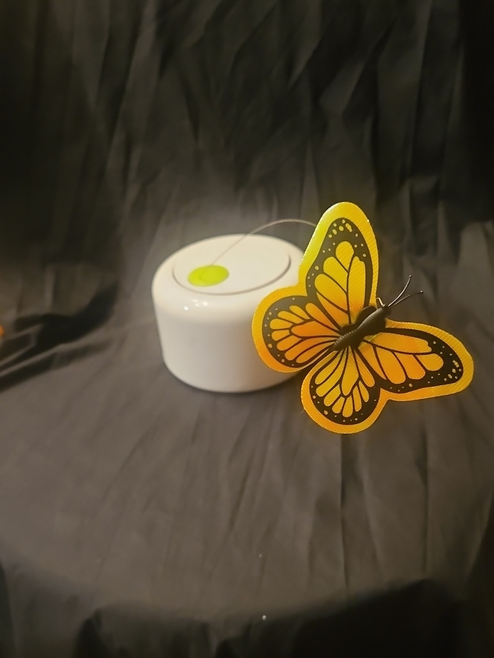 All For Paws AFP Motion Activated Cat Toy Bundle - Includes 2 Butterflies!